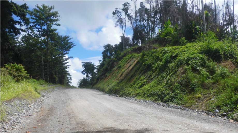 lalampa 2