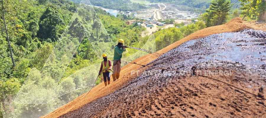 apa-itu-hydroseeding