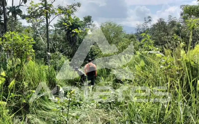 rehabilitasi das rehabilitasi das