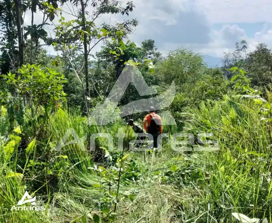 lahan kritis