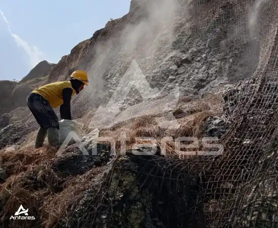 pengapuran bioremediasi